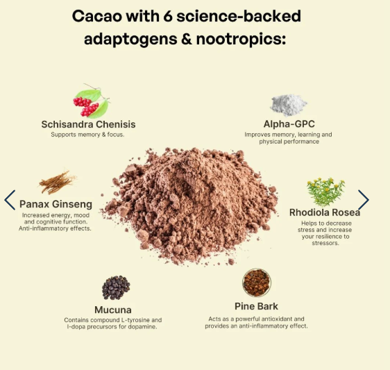 CACAO Collective || Vital Rise